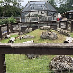 Guinea Pig Enclosure at Sewerby Zoo (June 2023)