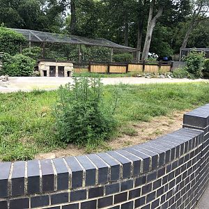 Humboldt Penguin Enclosure at Sewerby Zoo (June 2023)