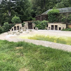 Humboldt Penguin Enclosure at Sewerby Zoo (June 2023)