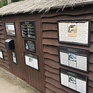 Penguin Signage at Sewerby Zoo (June 2023)