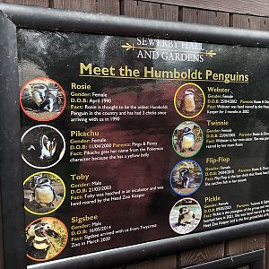 Meet the Penguins Sign at Sewerby Zoo (June 2023)