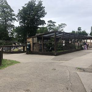 General View at Sewerby Zoo (June 2023)