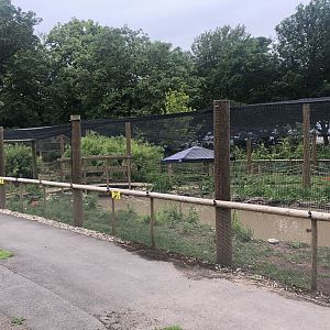 Walkthrough Aviary at Sewerby Zoo (June 2023)