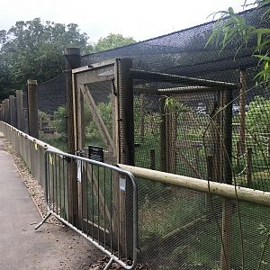 Closed Walkthrough Aviary at Sewerby Zoo (June 2023)
