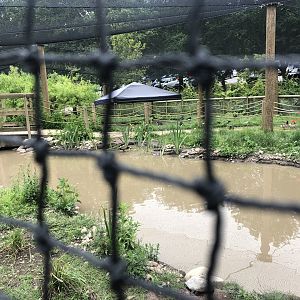 View into the Walkthrough Aviary at Sewerby Zoo (June 2023)