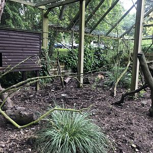 Coati Enclosure at Sewerby Zoo (June 2023)
