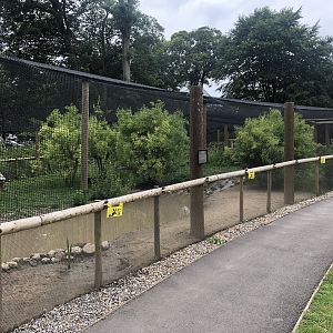 Walkthrough Aviary at Sewerby Zoo (June 2023)