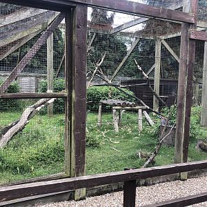 Ring-tailed Lemur Enclosure at Sewerby Zoo (June 2023)