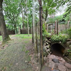 Tunnel through Hyena enclosure