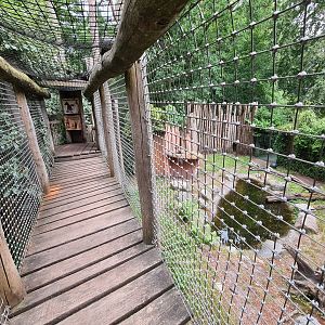 Children's bridge over Hyena enclosure
