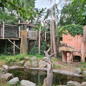 Hyena enclosure (and Children's route)