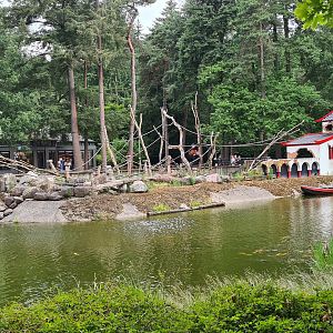 Former Japanese macaque island