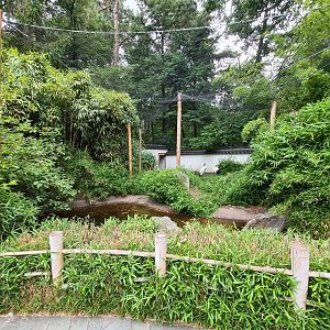Red-crowned cranes enclosure in Oriental garden