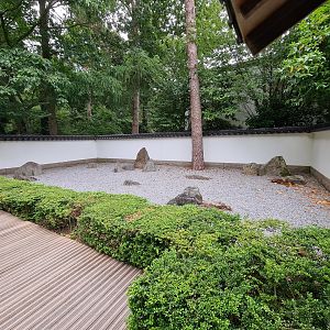Gravel garden in Oriental garden