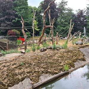 Former Japanese macaque island