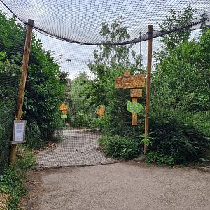 Partially re-opened aviary