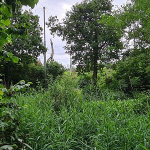 View into giant aviary "Realm of beaks"
