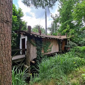 Viewing hut into giant aviary