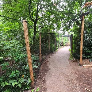 Partially re-opened giant aviary