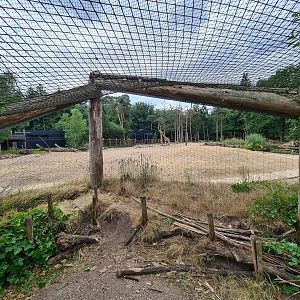 View of African savannah enclosure from aviary