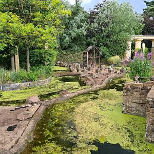 Ancient city - Hamadryas baboon enclosure