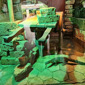 Ancient city - Nile monitor enclosure