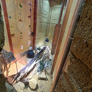 Ancient city - N. African mastigure enclosure