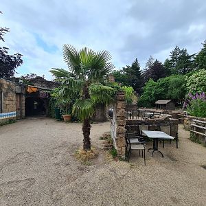 View in Ancient city