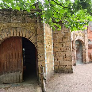 Ancient city - Crocodile temple