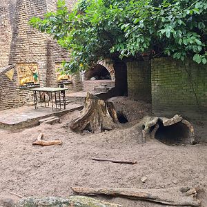 Ancient city - Indian Crested porcupine enclosure
