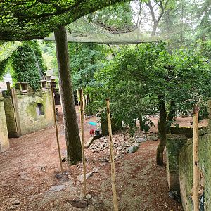 Ancient city - Northern bald ibis aviary
