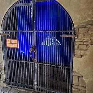 Lion hologram in Roman temple
