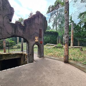 Ancient city - Lion viewing