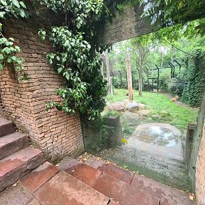 Ancient city - Lion viewing