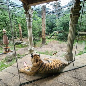 King Darius's palace - Siberian tiger enclosure