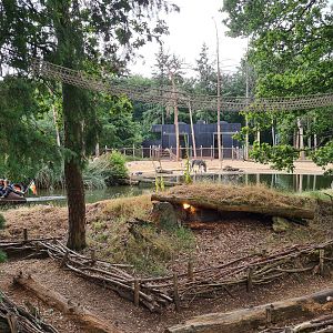 View of Savannah enclosure from Ring-tailed lemur island