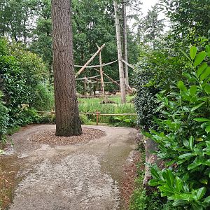 View of Ring-tailed lemur island