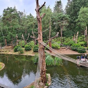 Yellow-breasted capuchin monkey island