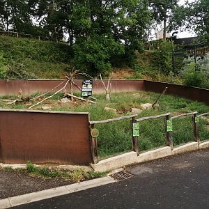 Meerkat and crested porcupine exhibit