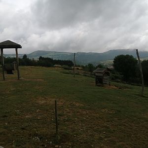 African exhibit for giraffes and more