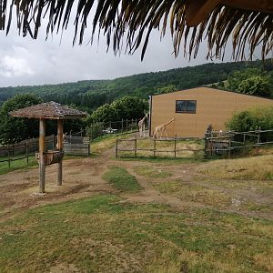 African exhibit for giraffes and more