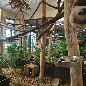 Sloths, cotton top tamarins and armadillos exhibit