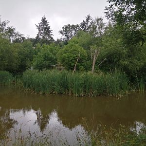 White handed gibbon and Asian otter exhibit