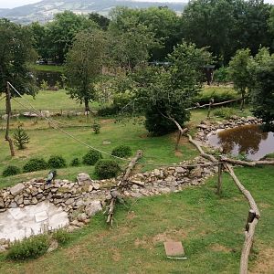 South American exhibit with 6 species