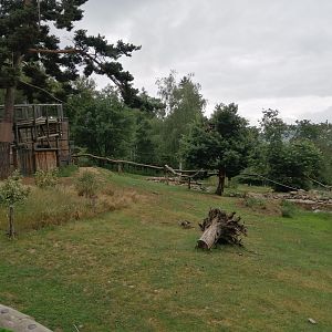 South American exhibit with 6 species