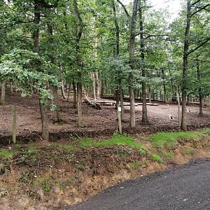 Domestic reindeer exhibit