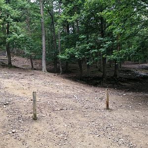 Vietnamese sika deer walkthrough exhibit