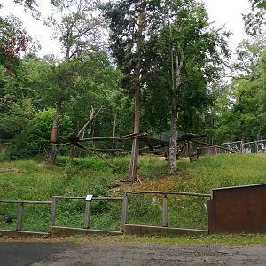 First red panda exhibit