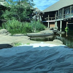 Left Side of Nile Croc Habitat
