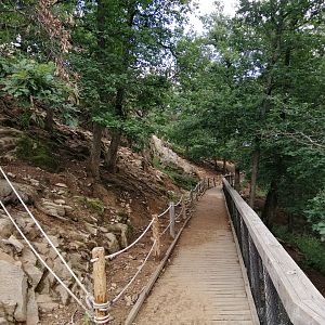 Alpine ibex & alpine chamois walkthrough exhibit